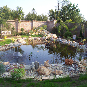 Gartenteich mit eine kleine Quelle